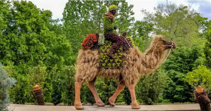 topiary sculpture at the atlanta botanical garden