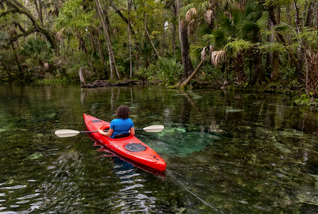 a woman kayaks on clear spring waters at Wekiwa Springs near Orlando Florida