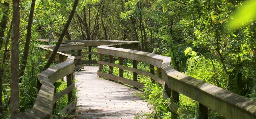 the boardwalk walking trail extends into wooded marshland at Mead Botanical Garden near Orlando Florida