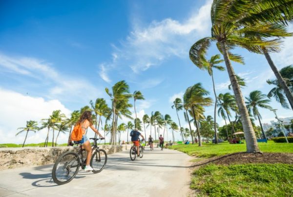 People riding bikes past palm trees in Miami