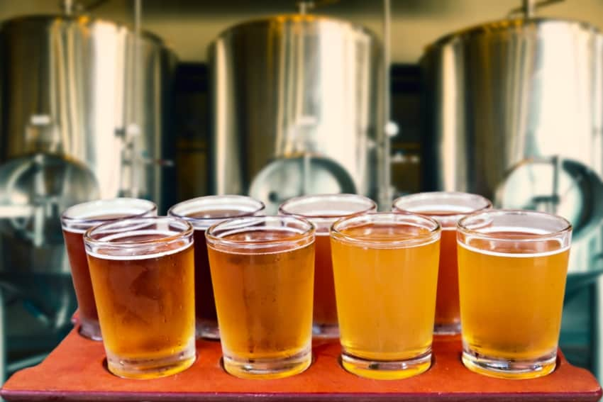 Several glasses of fresh craft beer placed in a row