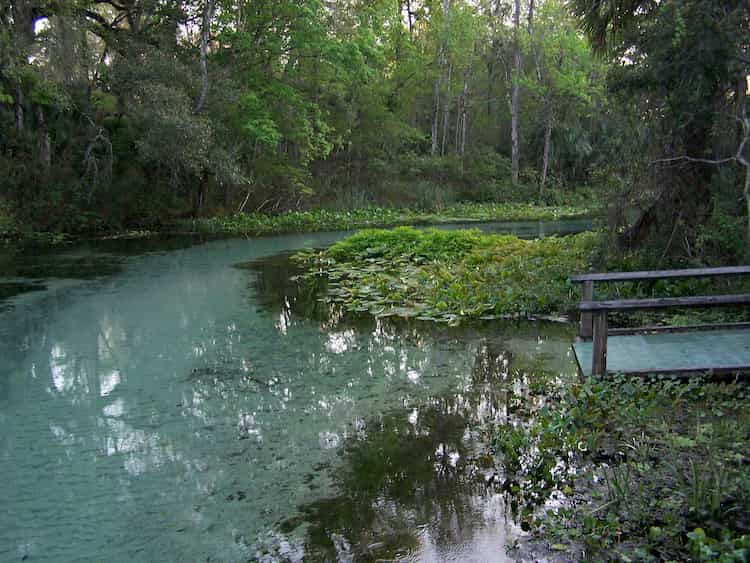 Clear water at Kelly Park