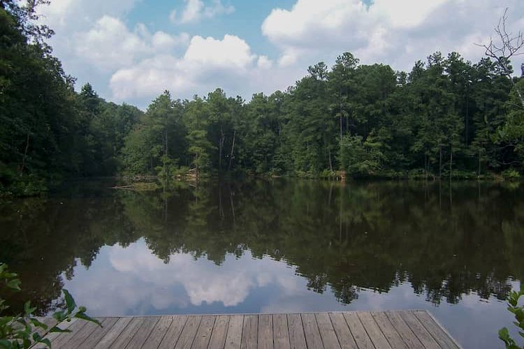 Chattahoochee Nature Center