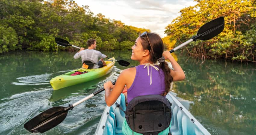 Two kayakers paddle through mangroves in the Everglades