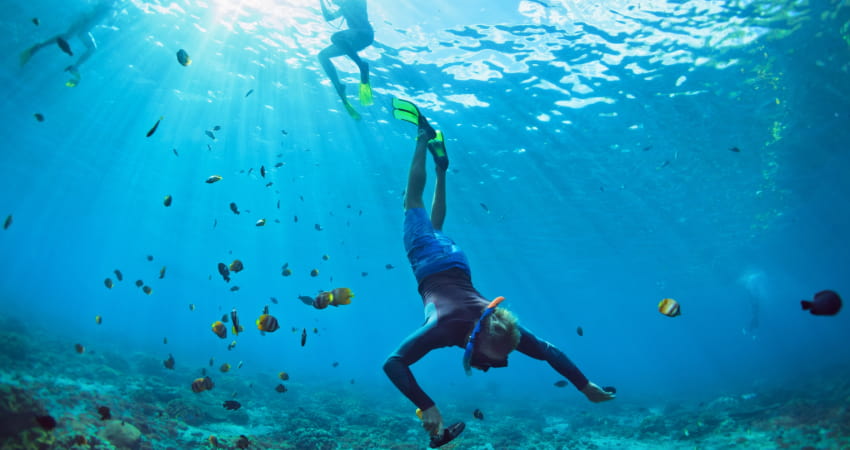 A snorkeler dives near a coral reef in Biscayne National Park