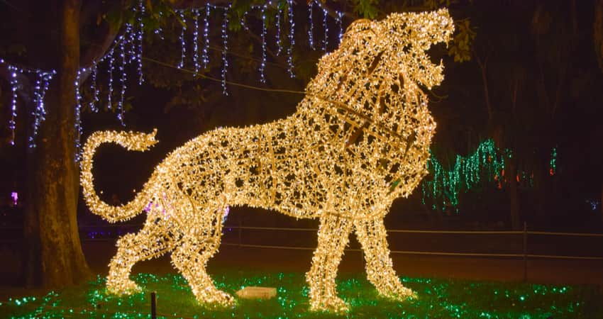 A holiday light display shaped like a lion