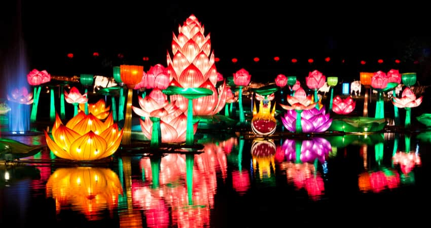 Flower lanterns on the water at a lights festival