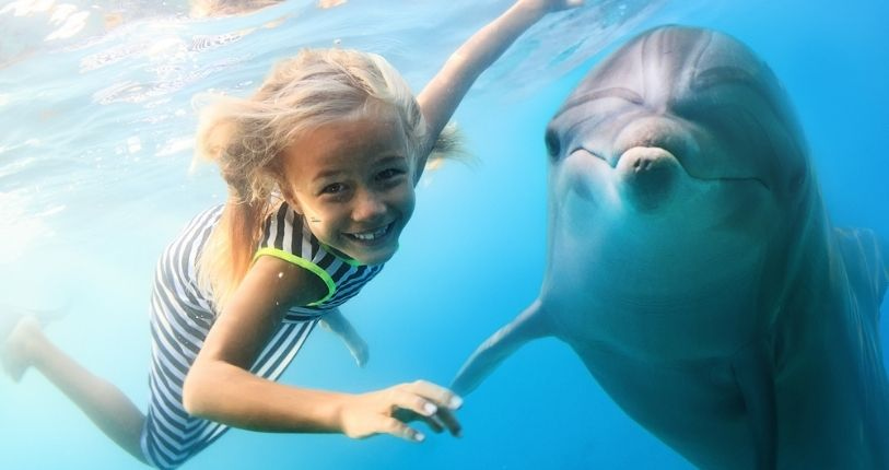 Girl swimming with dolphin