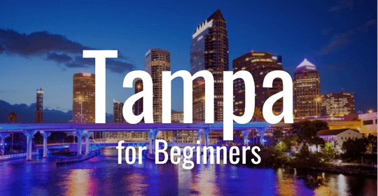 tampa for beginners